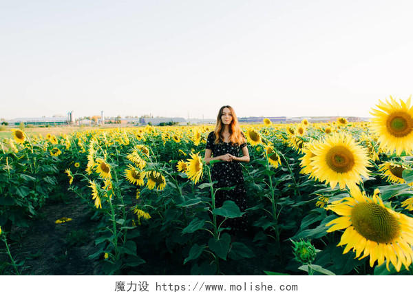一个身穿黑色花衣的年轻漂亮的姑娘站在向日葵花丛中的田野里